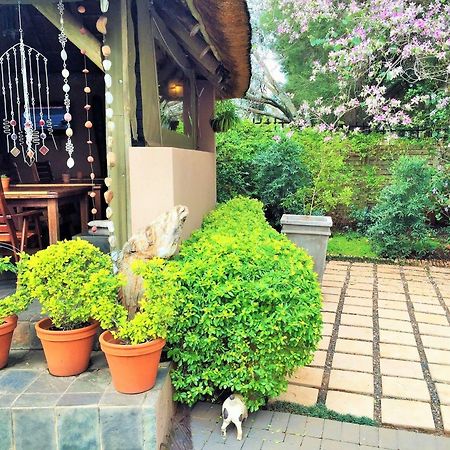 Khayamanzi Guesthouse Schoemanville Kültér fotó